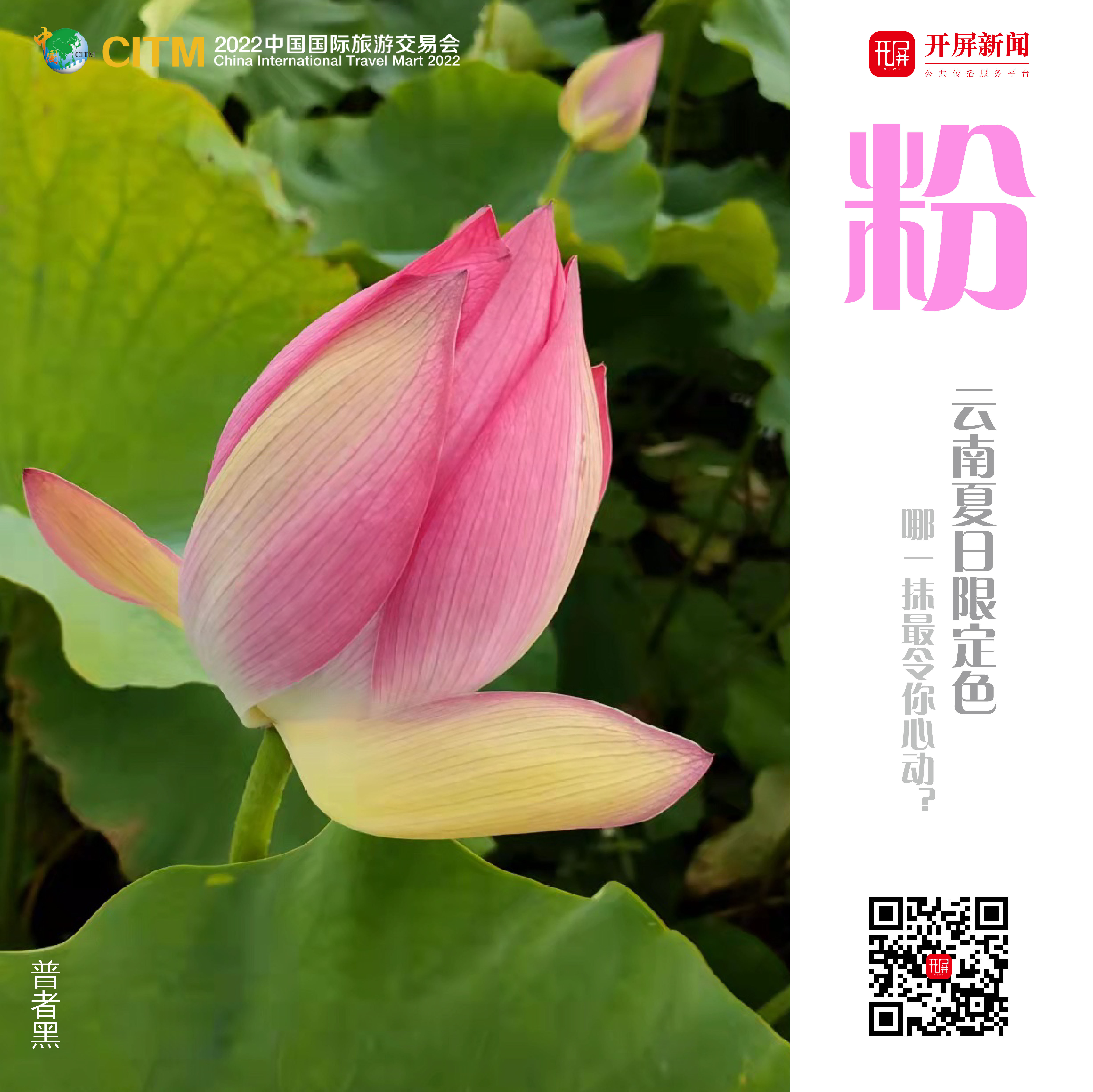 云南省文化和旅游厅