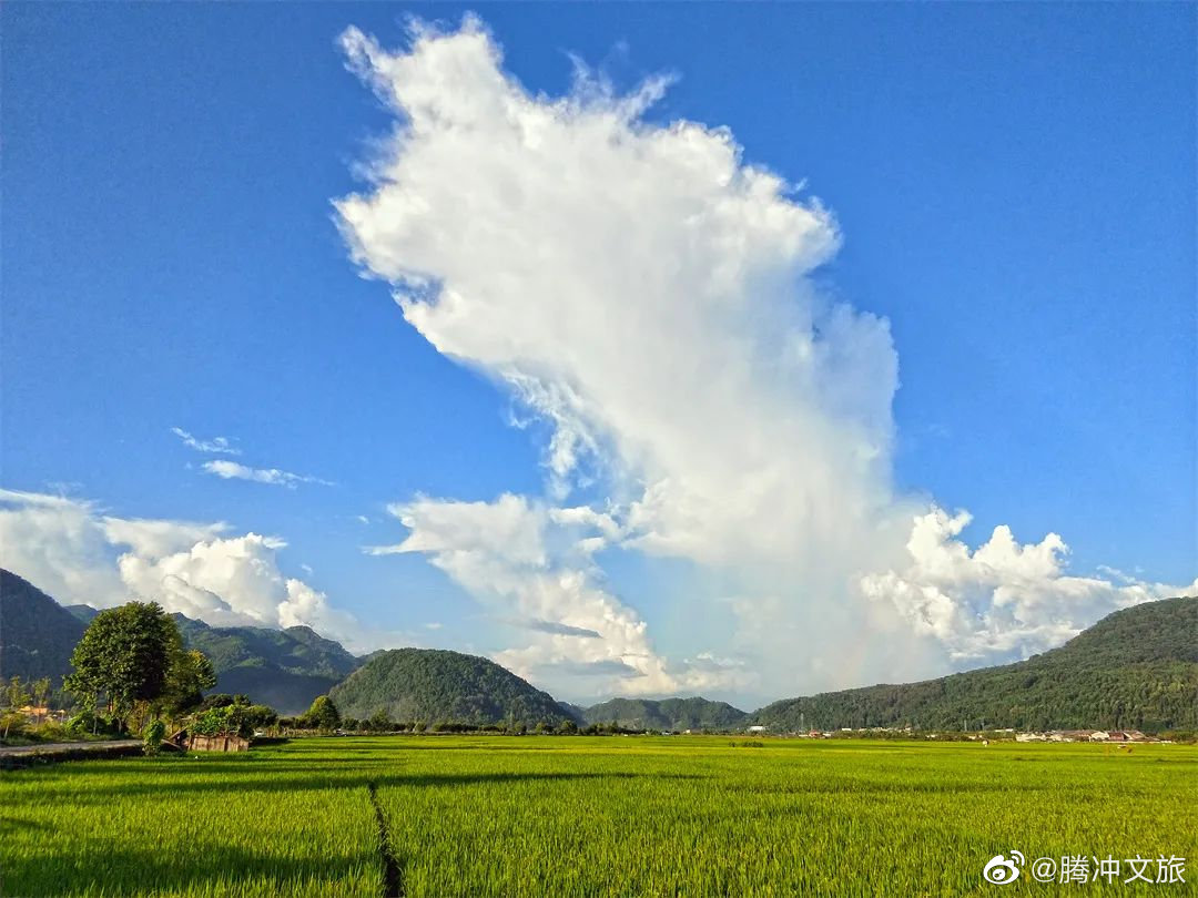 腾冲文旅微博