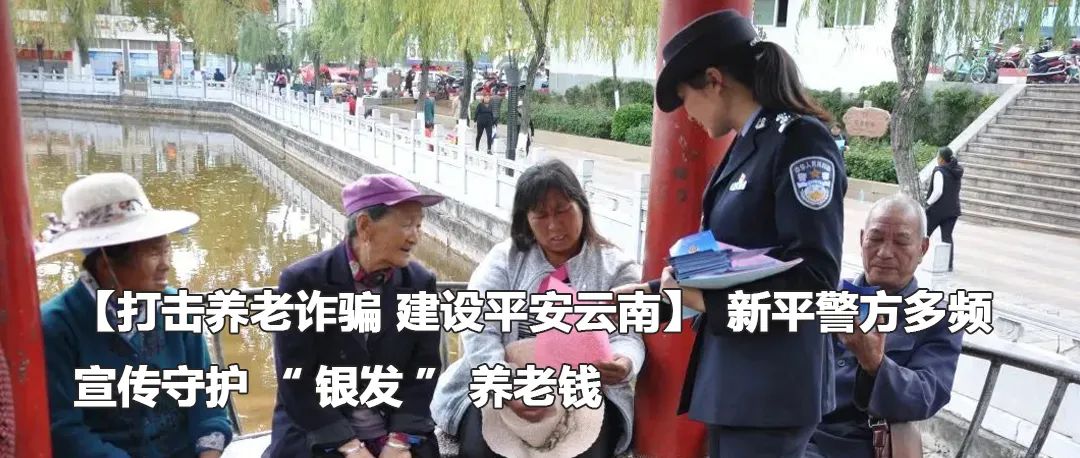 云南政法