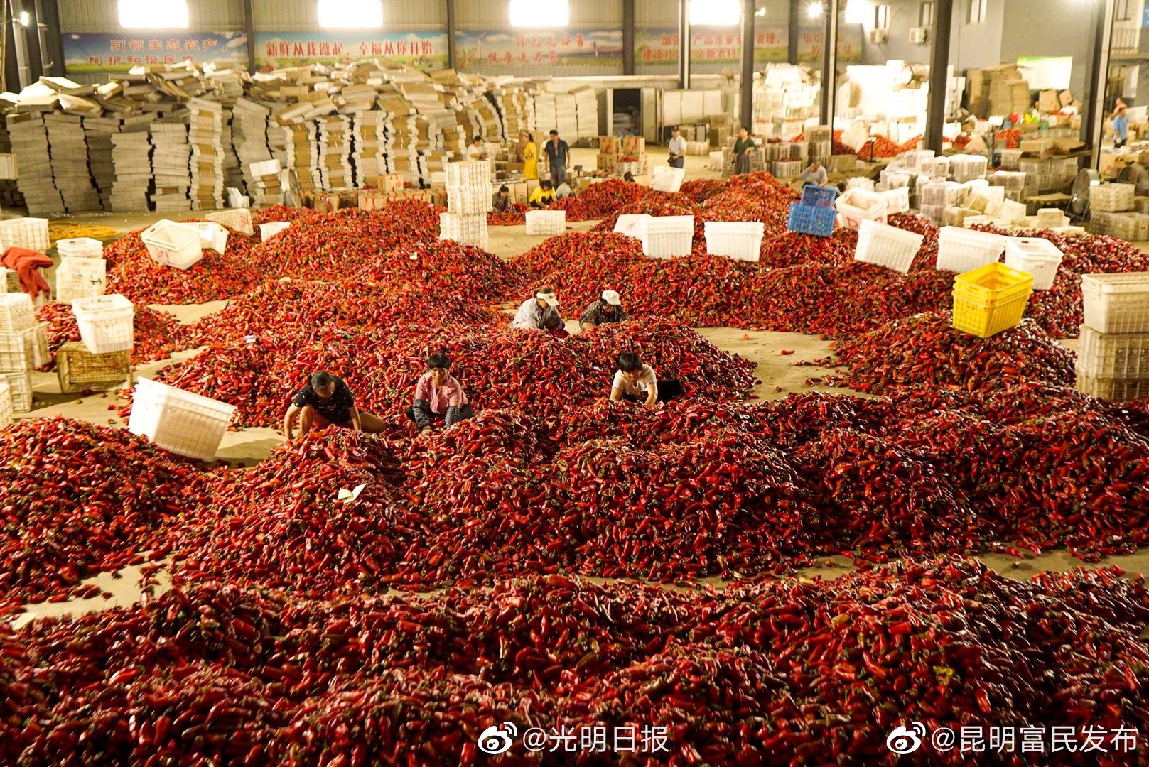 “昆明富民发布”微博