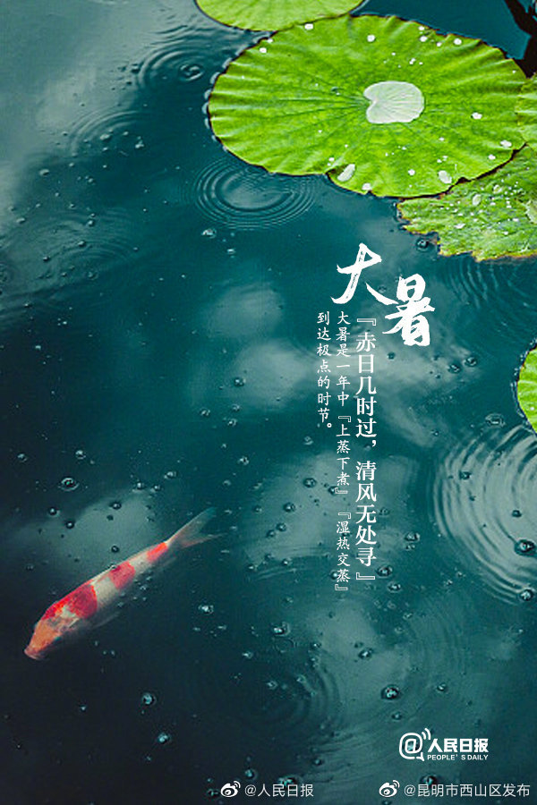 昆明市西山区发布
