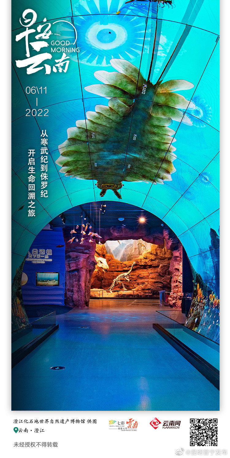 追溯生命起源脉络的圣地万亿化石堆出的世界遗产