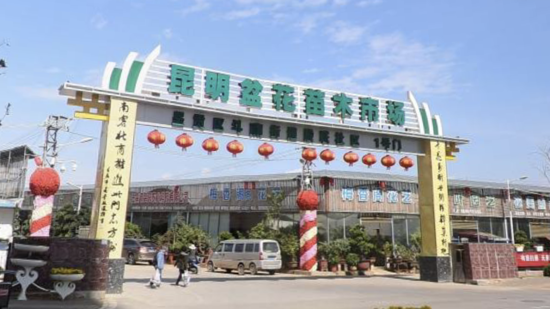 呈贡发布