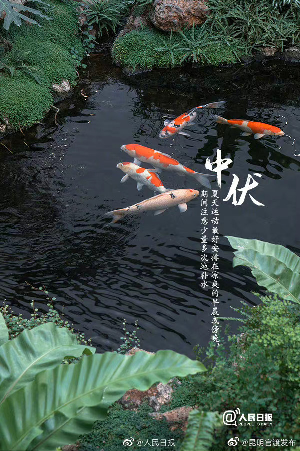 “昆明官渡发布”微博