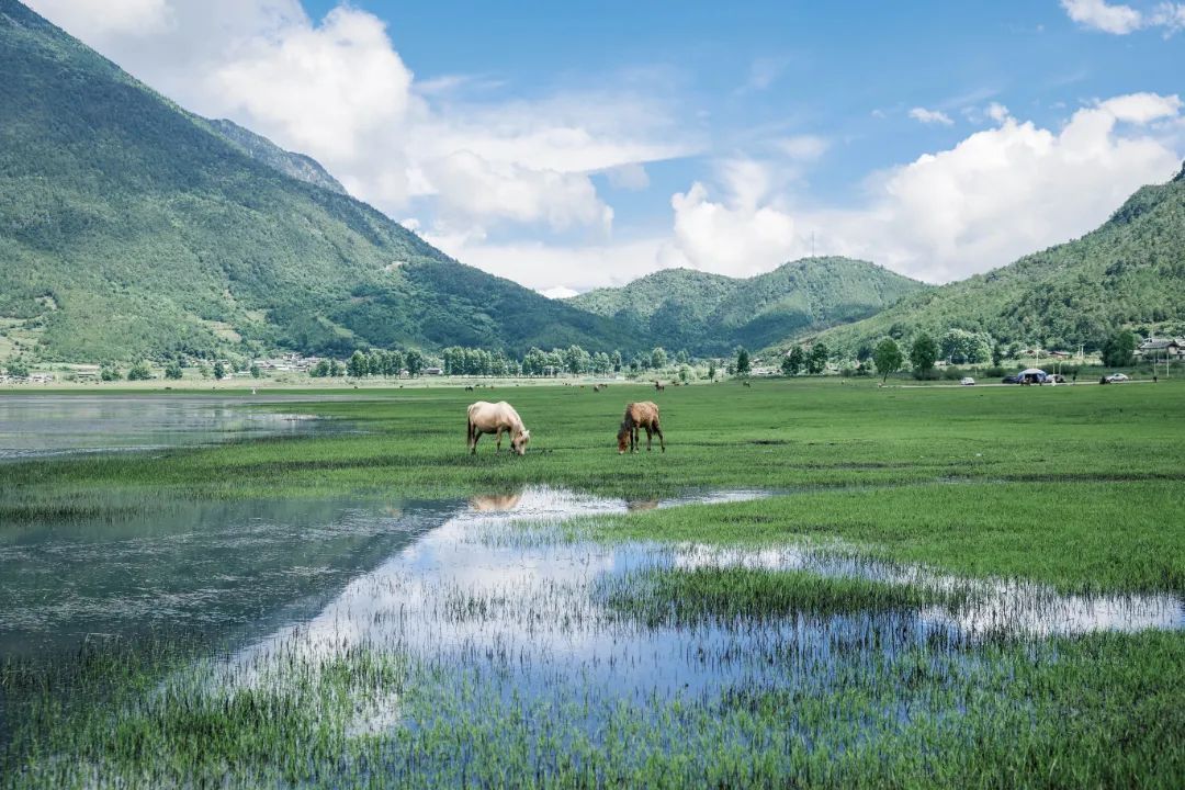 云南省文化和旅游厅