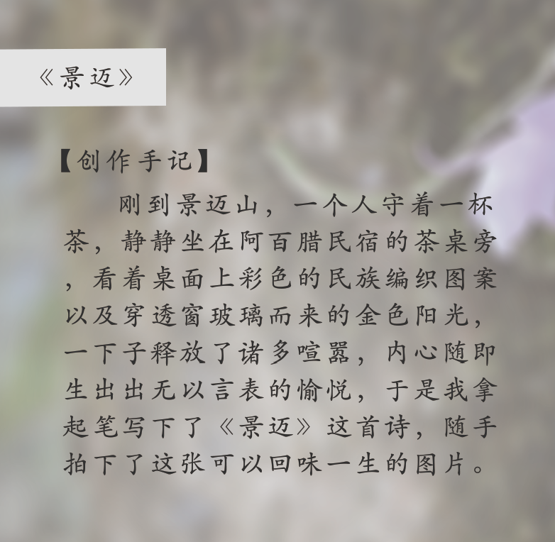 普洱日报