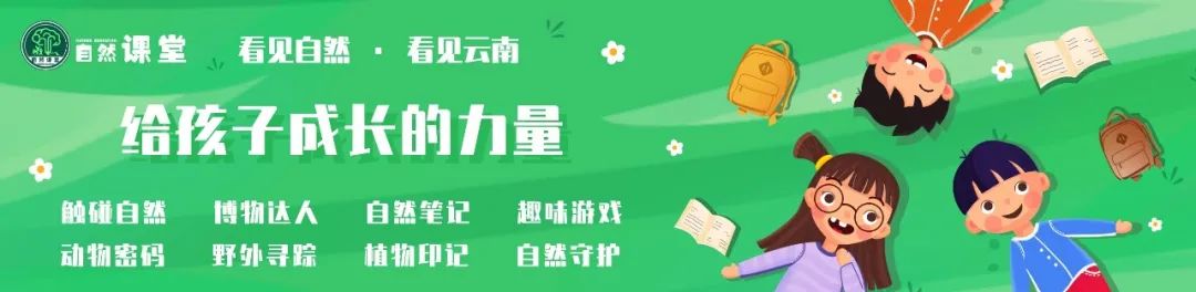 云南野生动物园