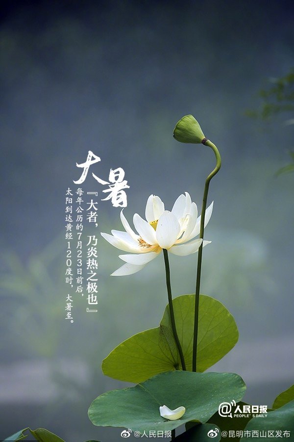 昆明市西山区发布