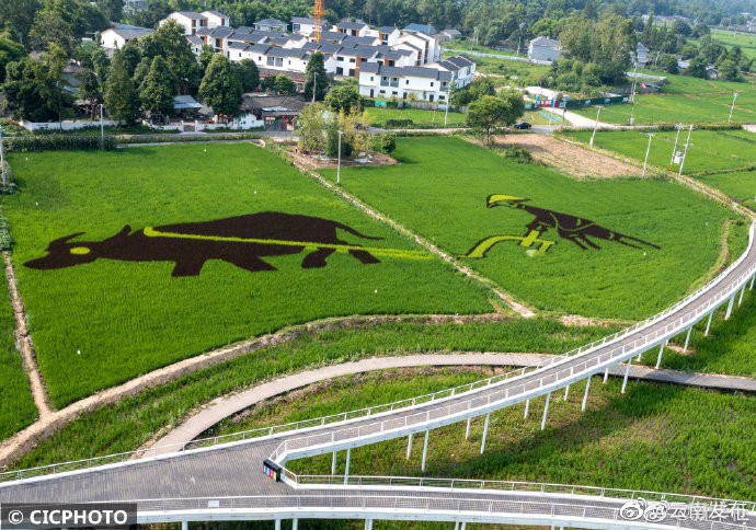 “云南发布”微博