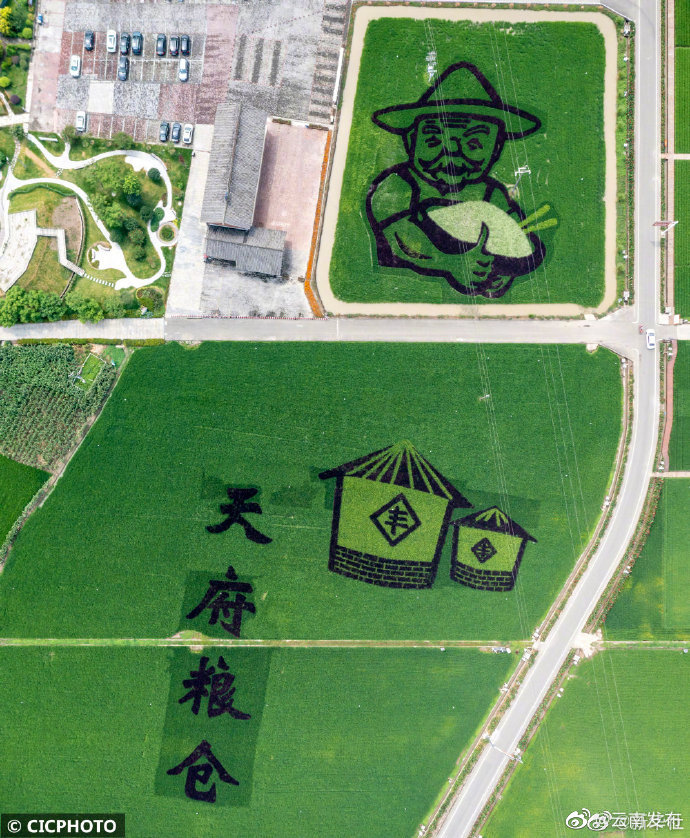 “云南发布”微博