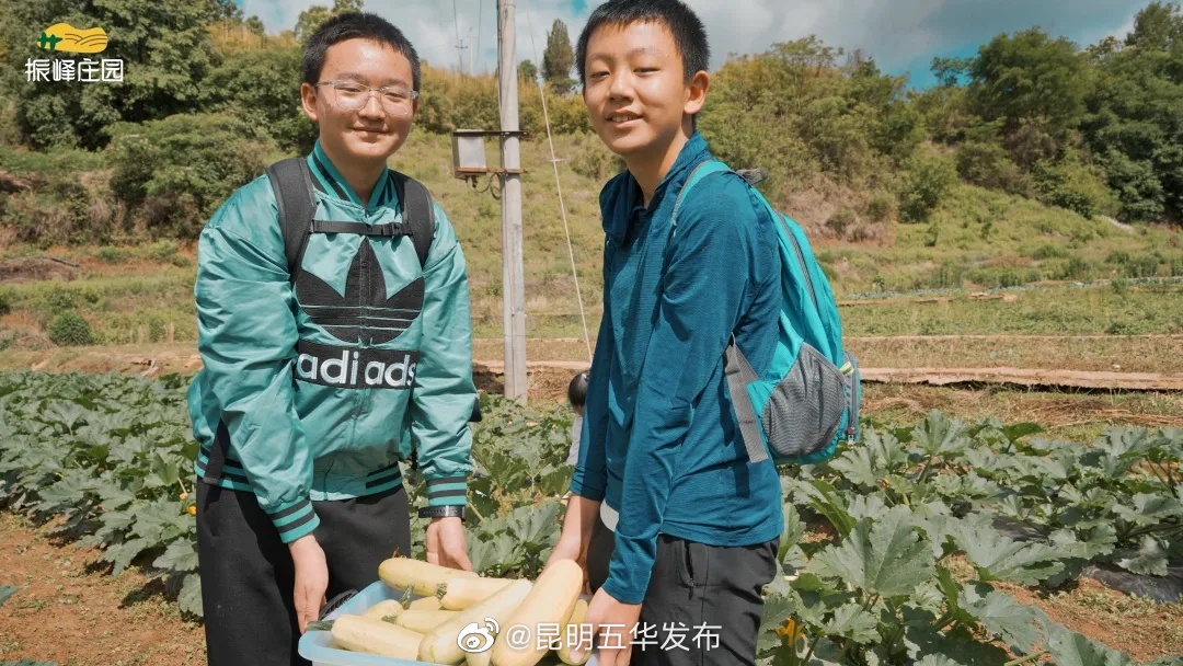 “昆明五华发布”微博