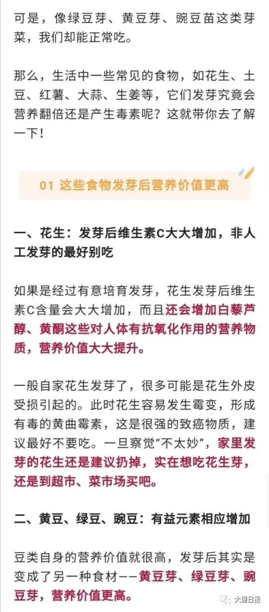 大理日报