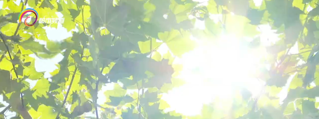 美丽云南微科普