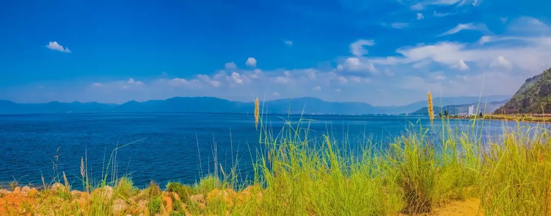 云南省文化和旅游厅