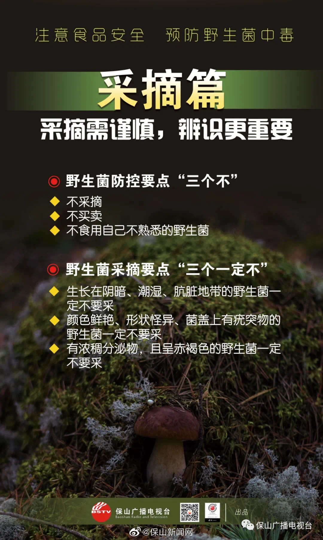 野生菌采摘要点“三个一定不要”