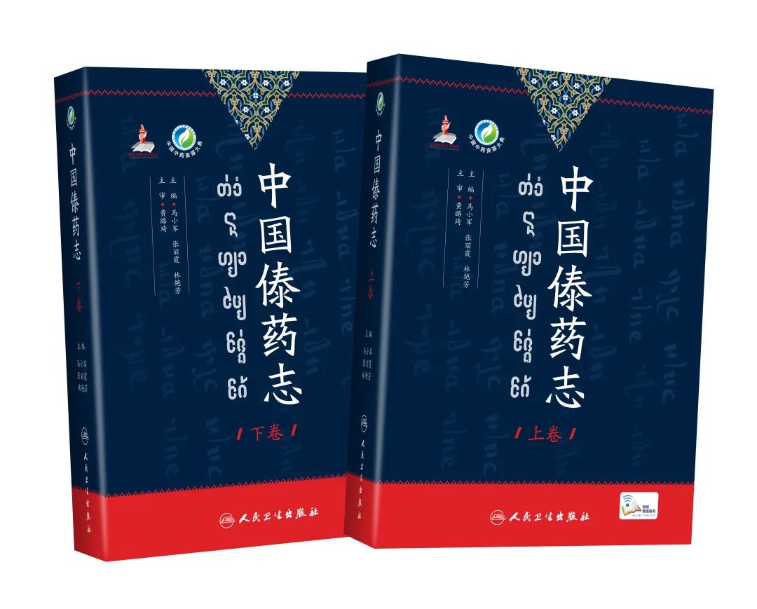 西双版纳先锋