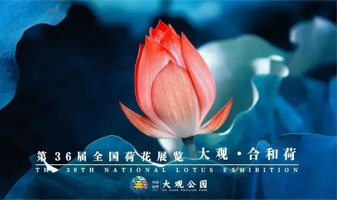 昆明西山发布