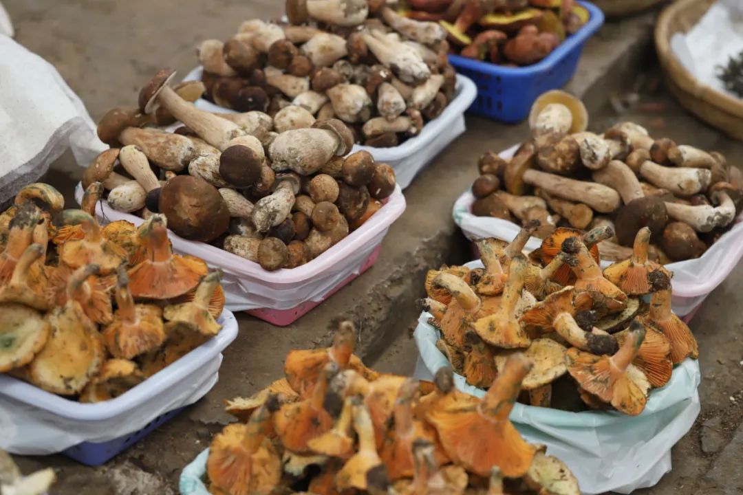 一部手机游云南