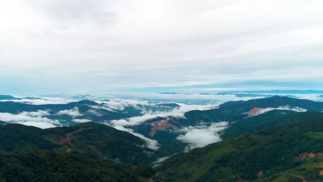 云南省文化和旅游厅