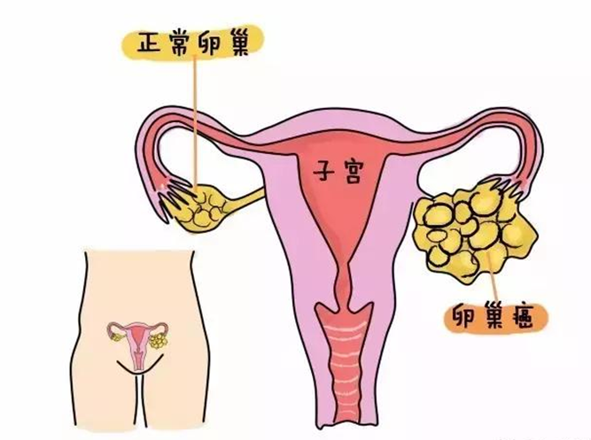 曲靖市妇幼保健院