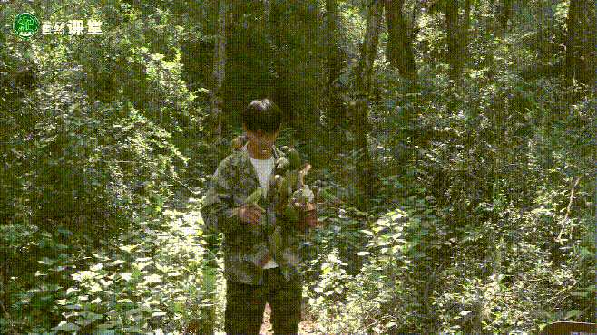 云南野生动物园