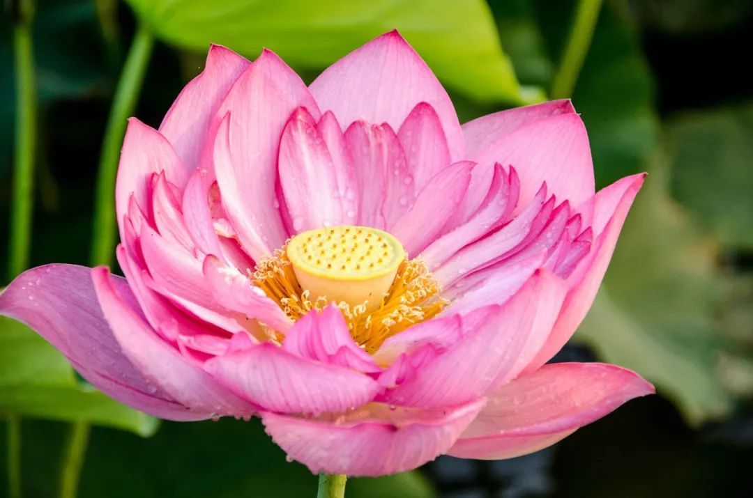 云南省文化和旅游厅