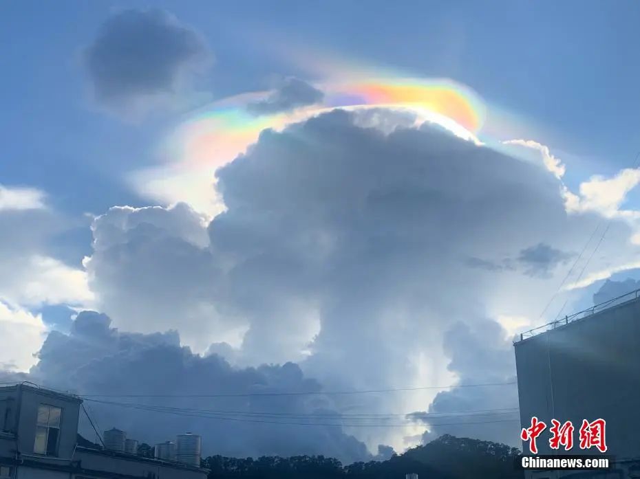 昭通日报