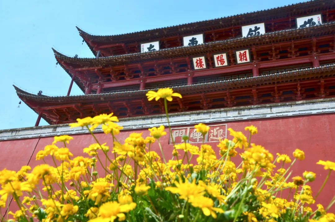 掌上春城