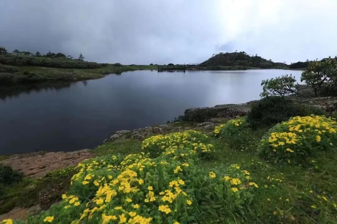 昆明文旅