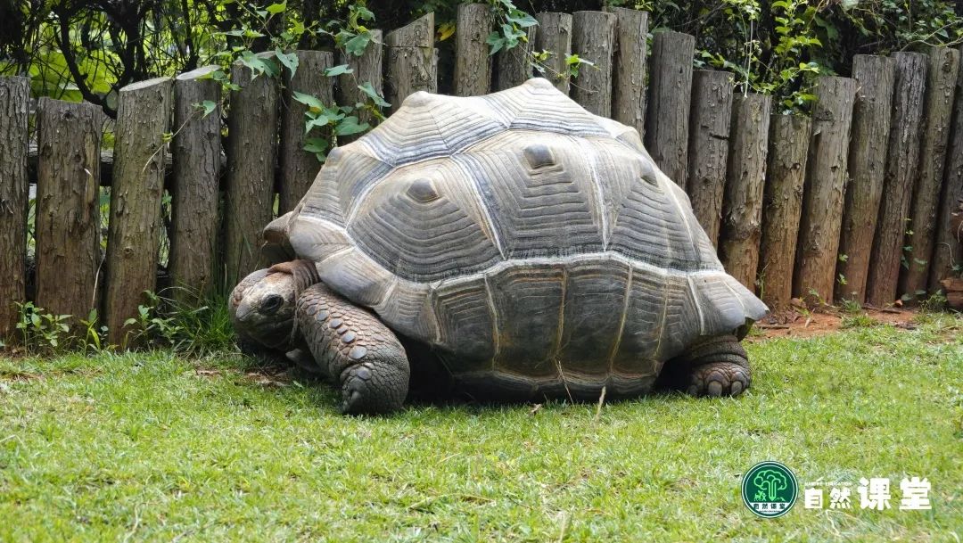 云南野生动物园