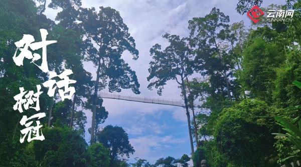 云南省文化和旅游厅