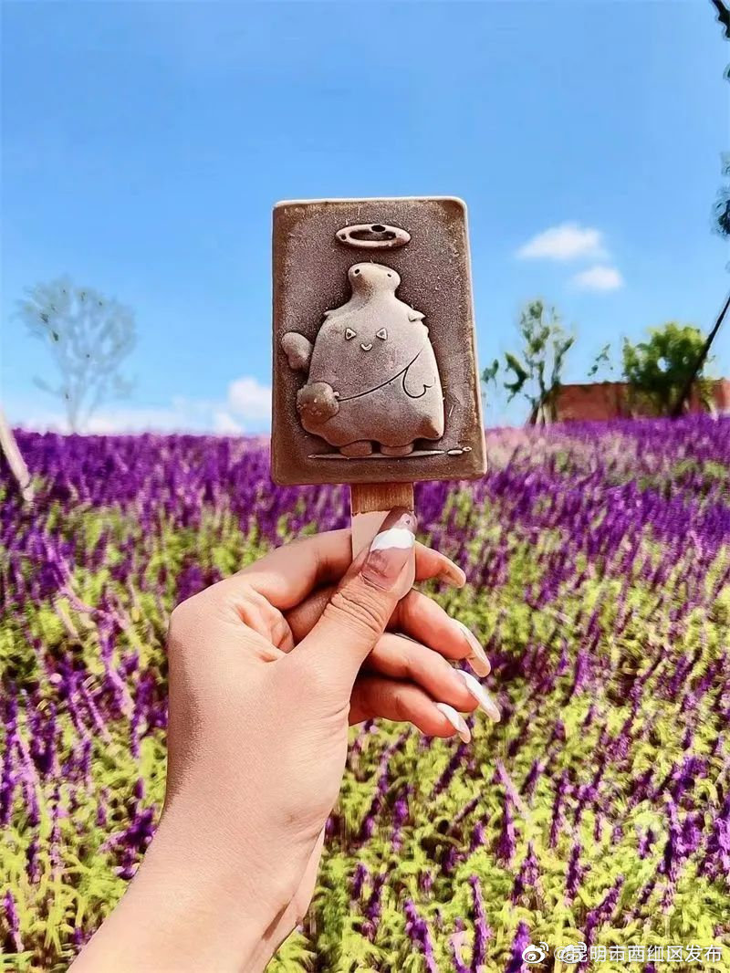 昆明市西山区发布