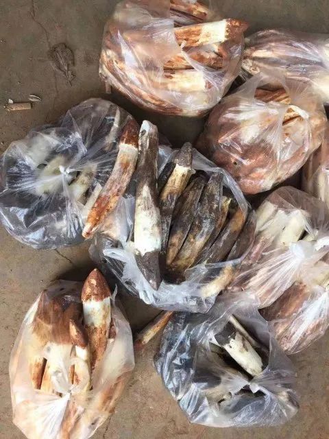 昆明信息港/cnkmxxg