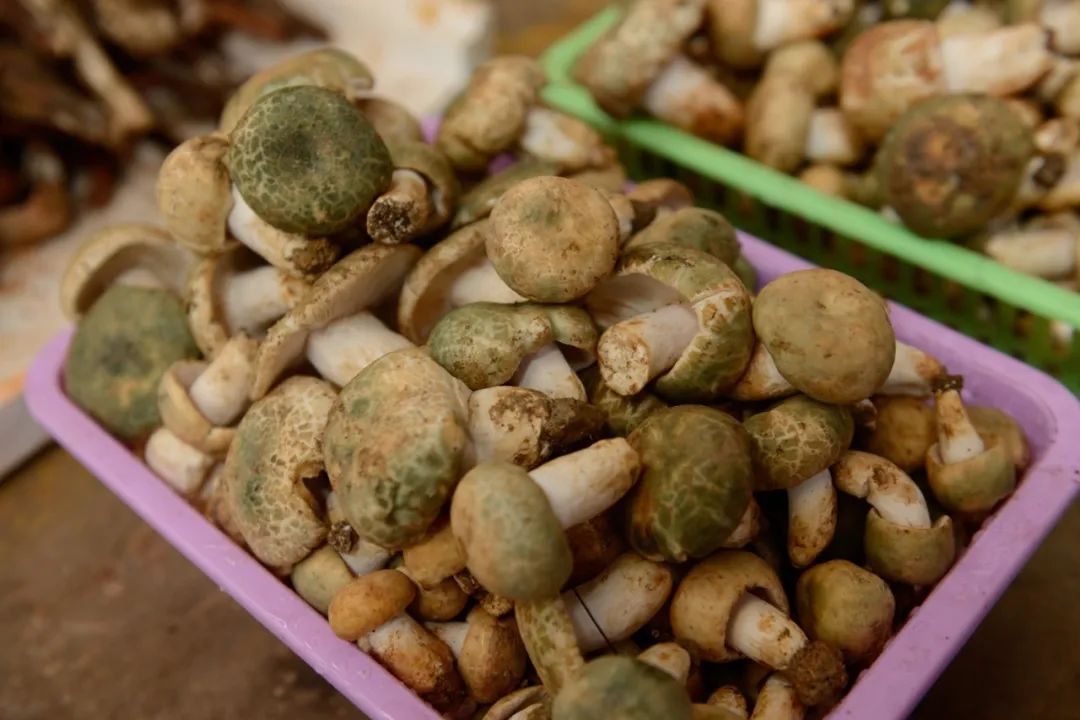昆明文旅