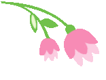 清风腾冲
