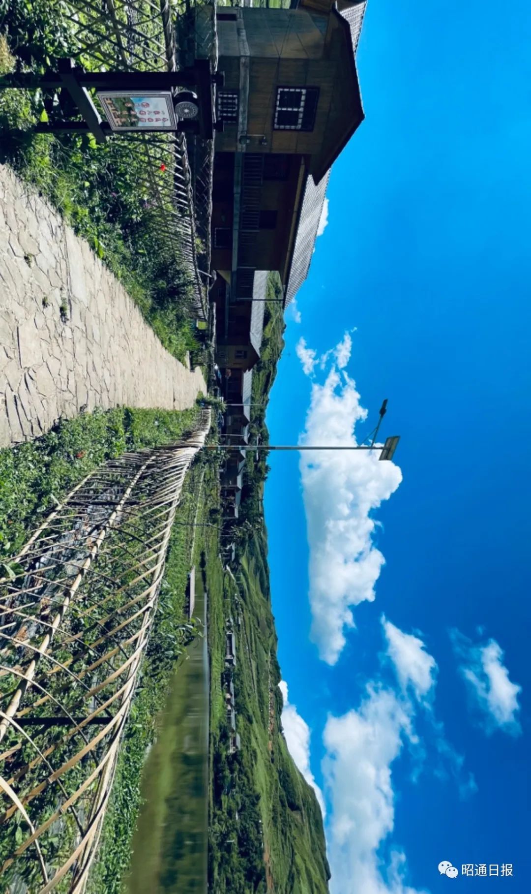 昭通日报