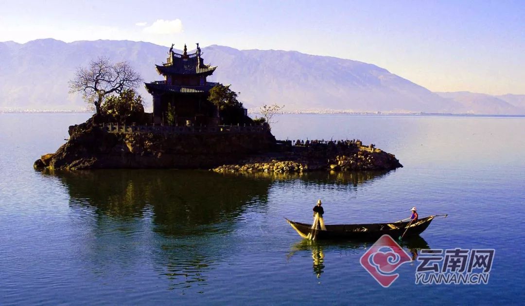 美丽云南微科普