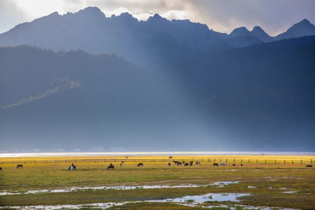 云南省文化和旅游厅