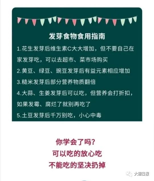 大理日报