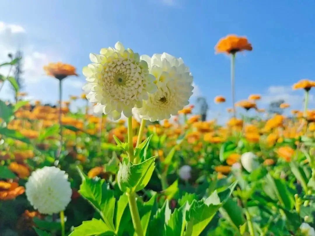 昆明文旅