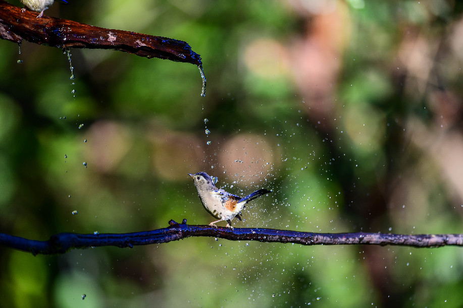 新华网云南频道
