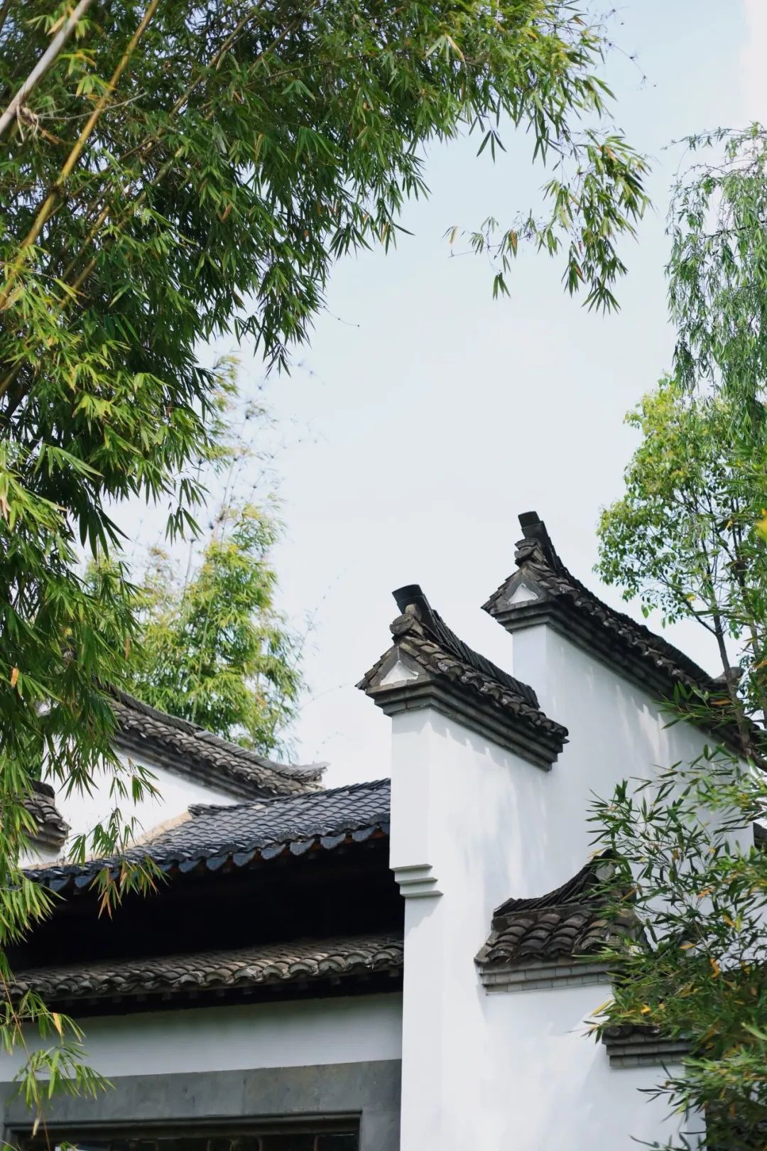 微观盘龙
