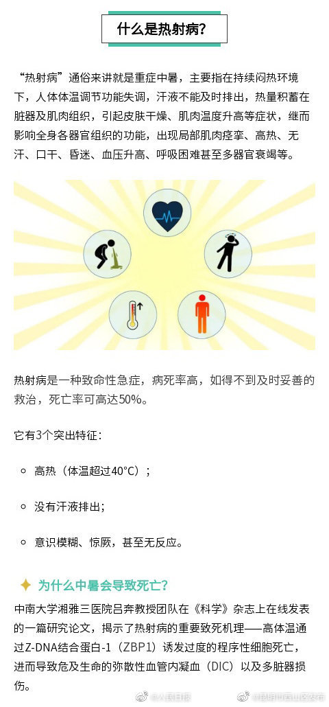 昆明市西山区发布