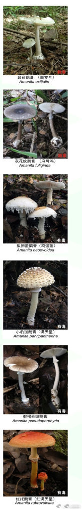 呈贡发布