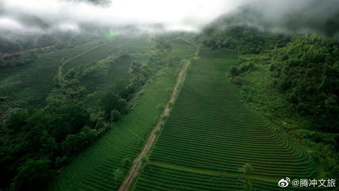 腾冲文旅微博