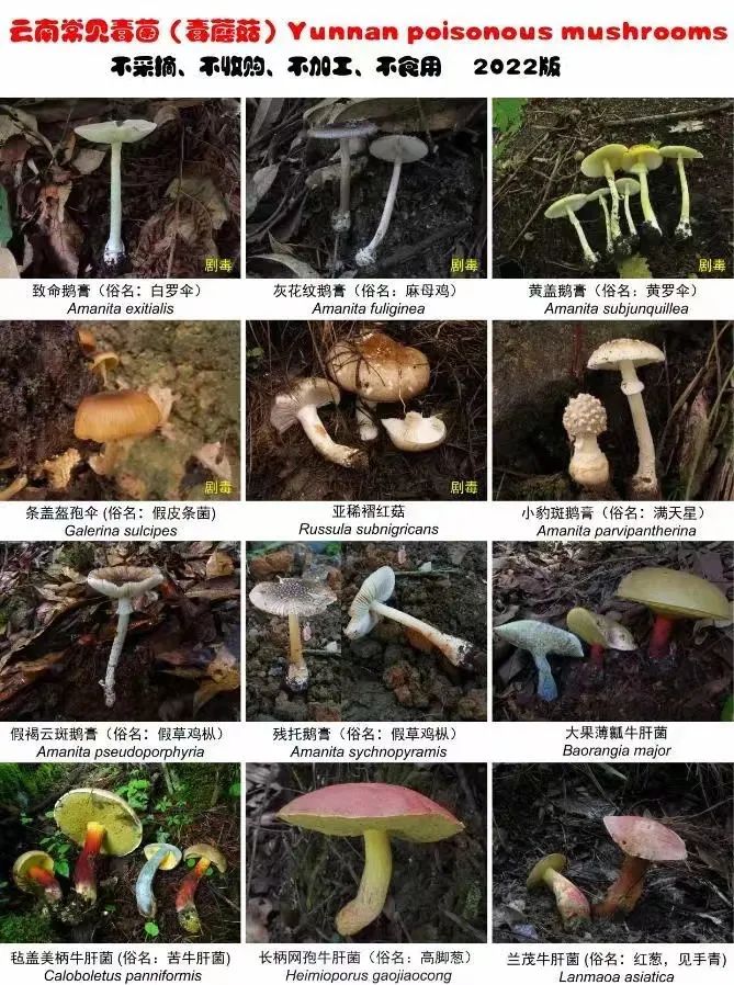 昆明公租房公司