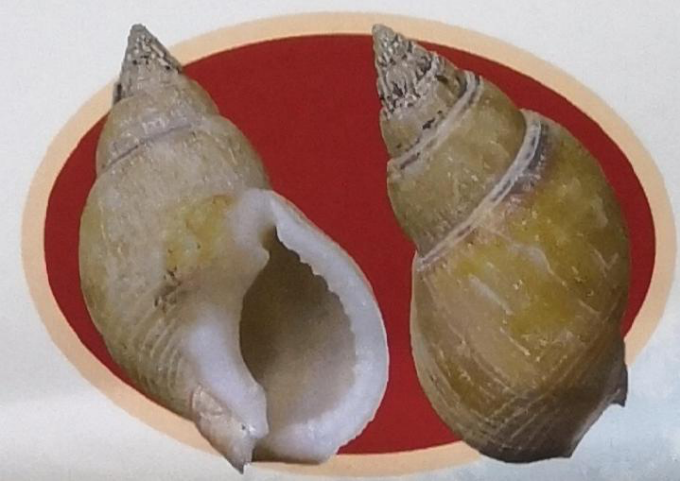 昆明信息港/cnkmxxg