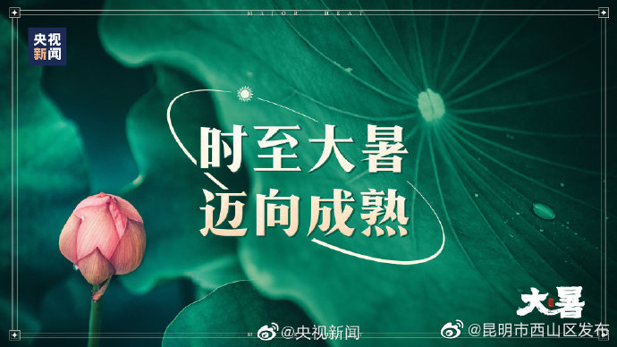 昆明市西山区发布