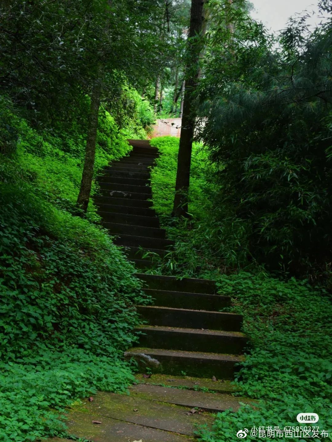 昆明市西山区发布