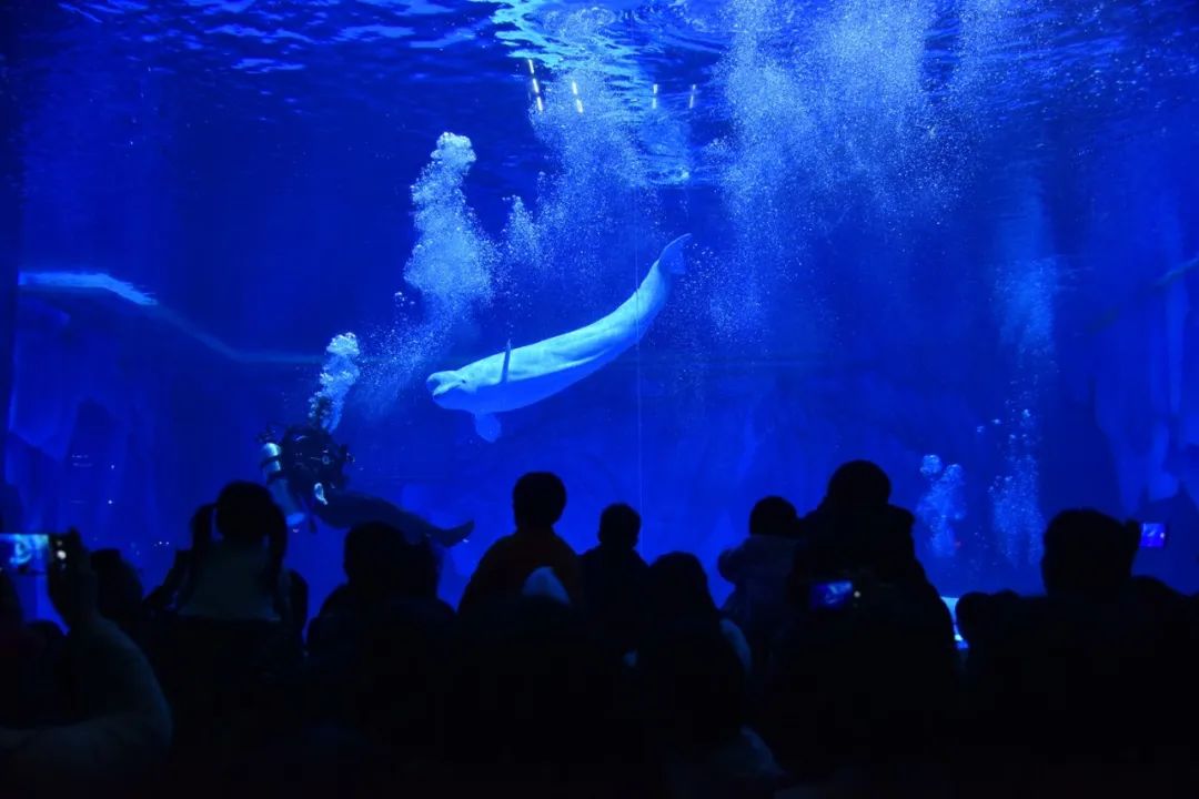 昆明文旅